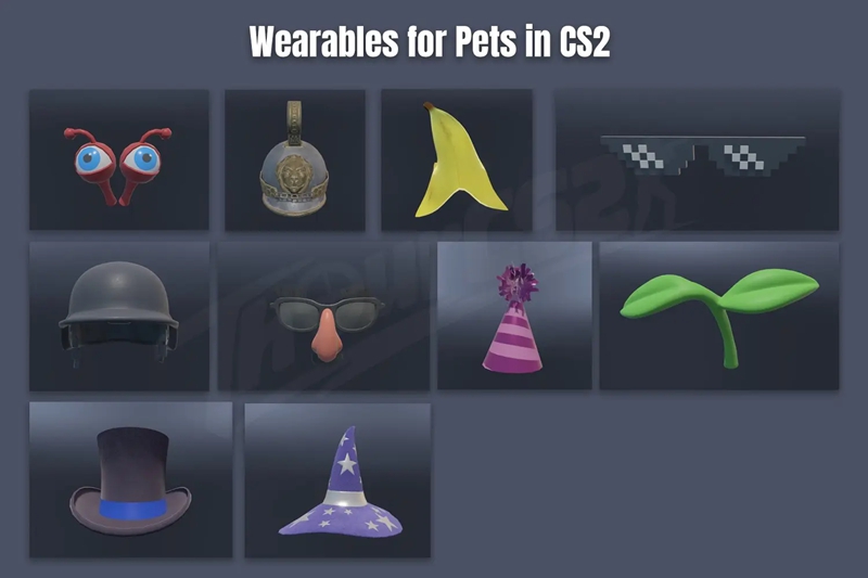 玩家在每周奖励中发现一枚鸡蛋,各方数据挖掘者曝光CS2宠物系统