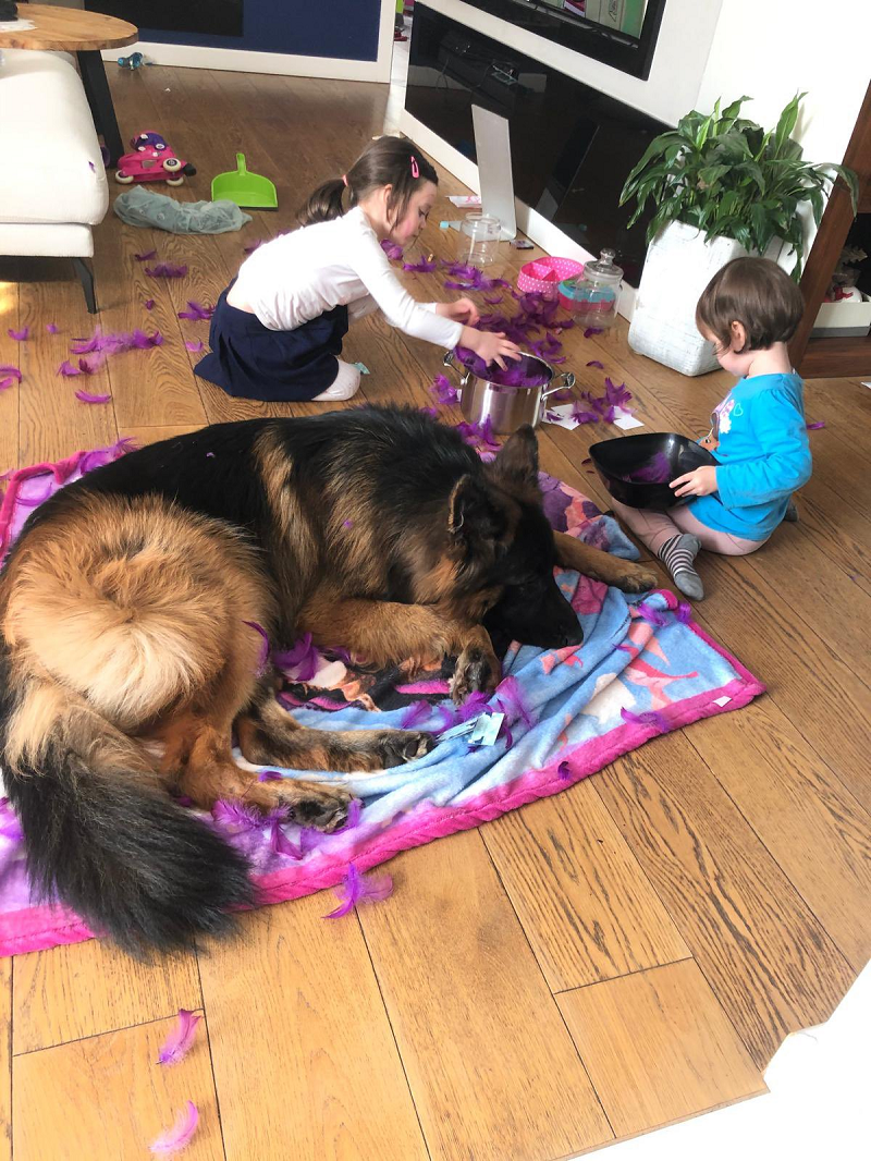 波兰传奇CS职业选手pashaBiceps发文告别因癌症去世的爱犬