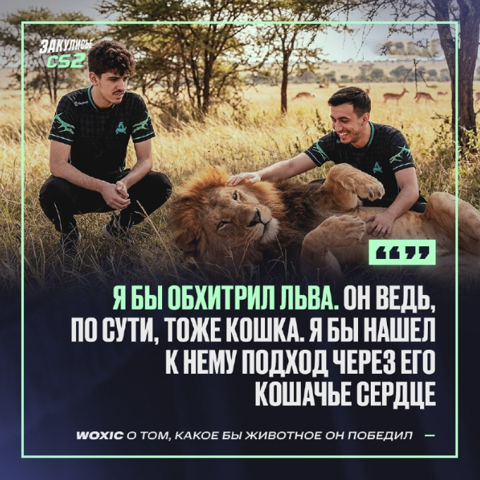 Aurora狙击手woxic给出了顶级驯兽师智取雄狮的方法，如果荒岛求生，会带上Wicadia